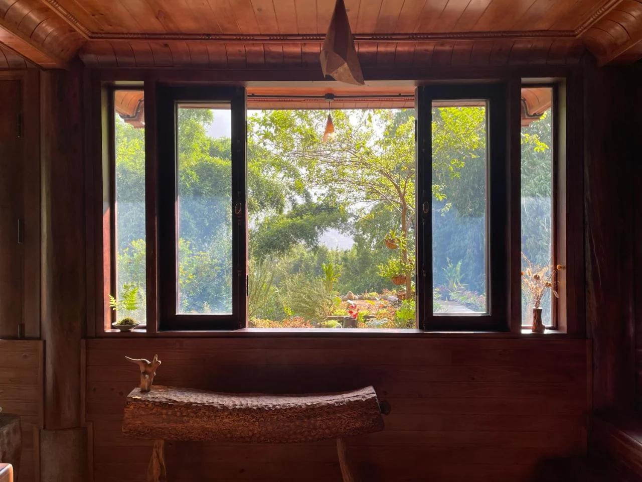 Lagom Home - Bamboo Forest photo