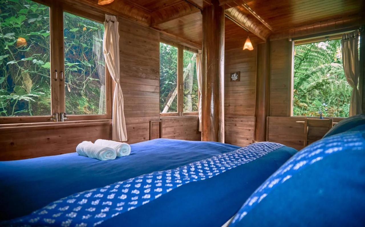 Lagom Home - Bamboo Forest photo