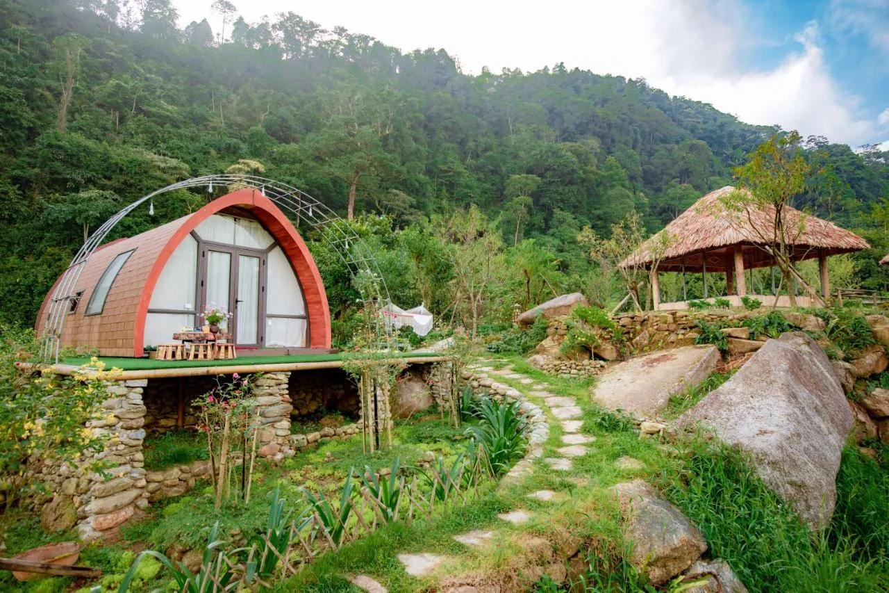 Ngũ Chỉ Sơn Trekking Sapa Homestay Local Experience photo