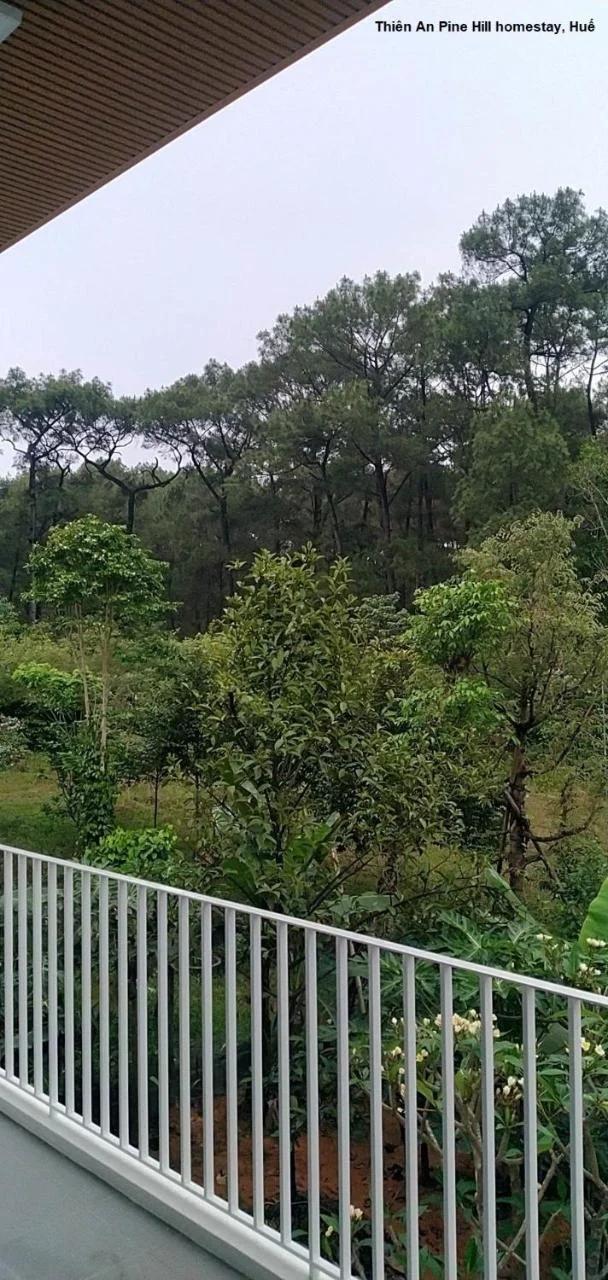 Thien An Pine Hill Homestay Hue photo