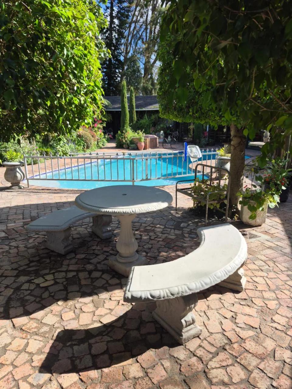 Aspidistra Self-Catering photo
