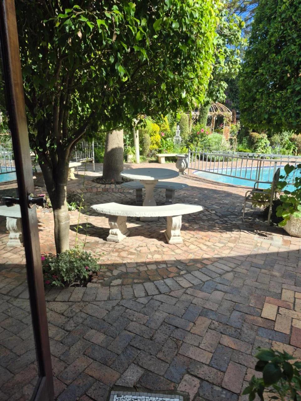 Aspidistra Self-Catering photo