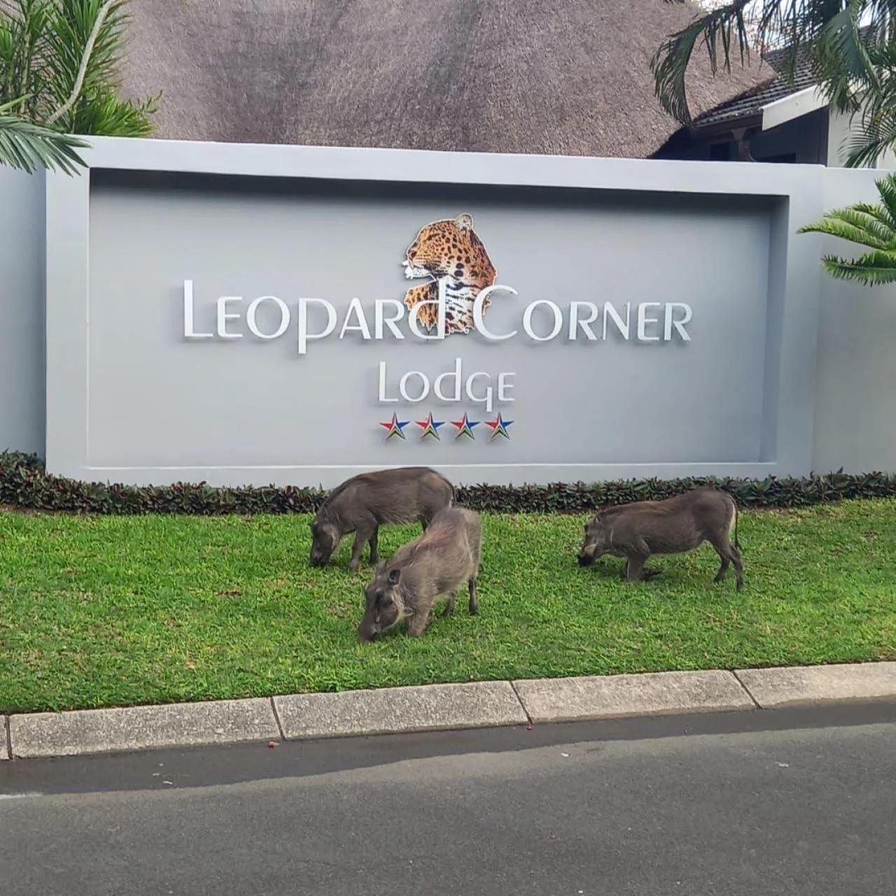 Leopard Corner Lodge photo