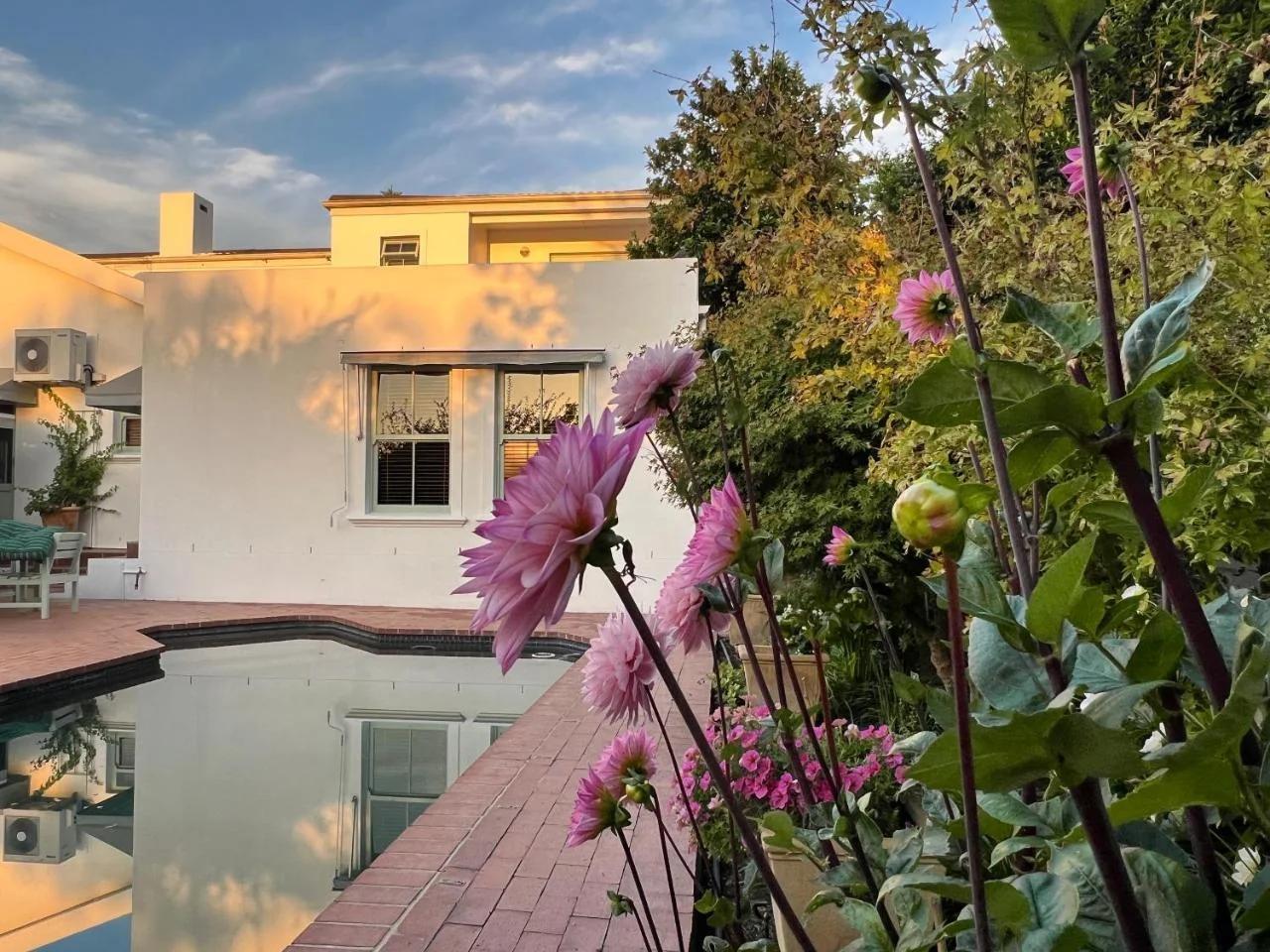 Penelope's Stellenbosch photo