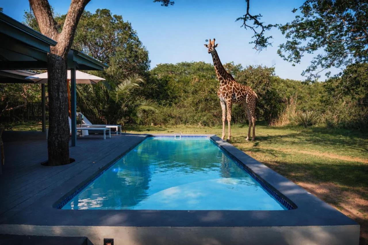 The Grand Luxury Safari Villa, Huge Private Pool, Hot tub, Outdoor Shower, Giraffe Tower, Free Standing Bath, Private Game Reserve, Stargazing, Ultimate Bush Luxury photo