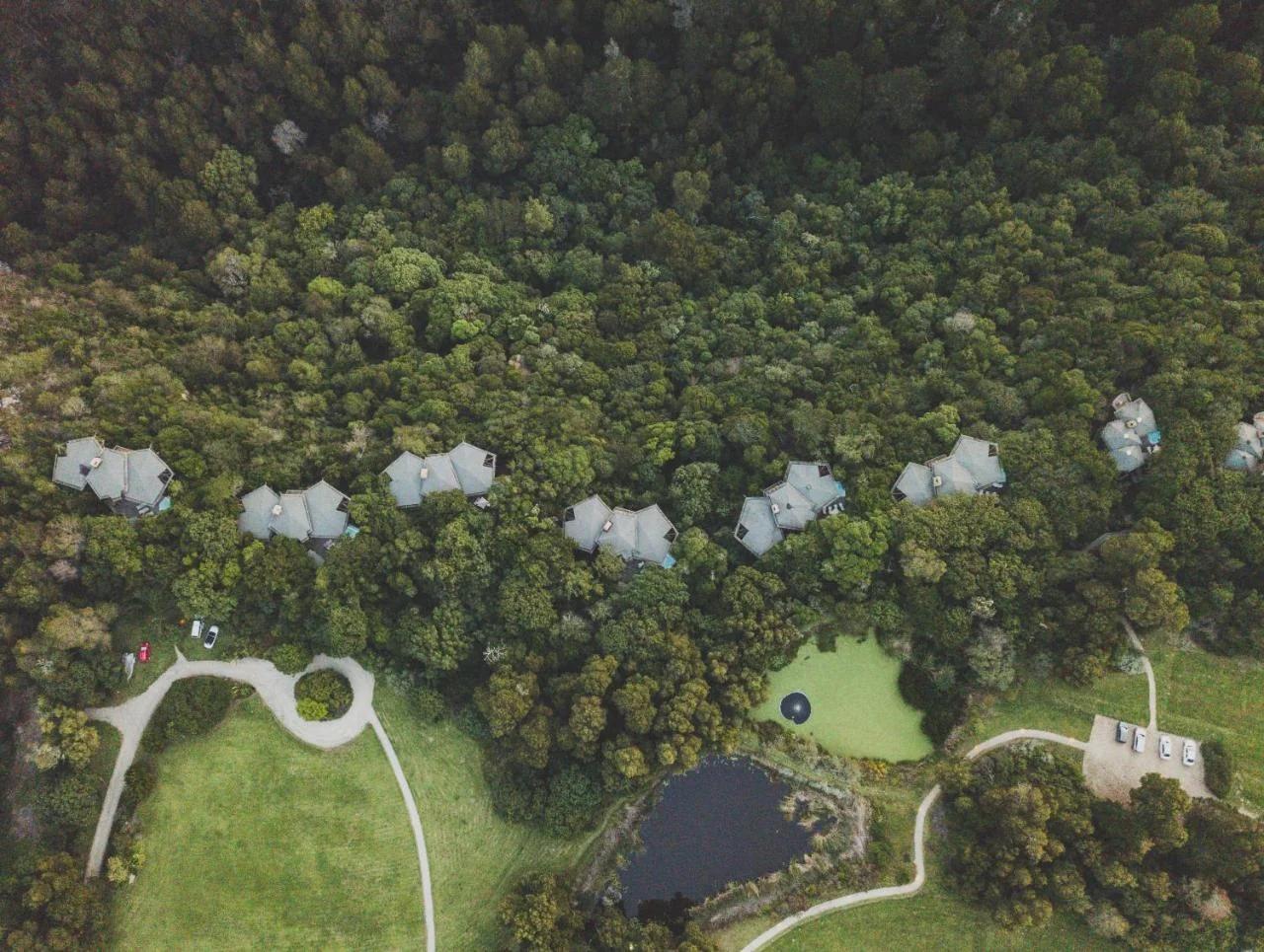 Tsala Treetop Lodge photo