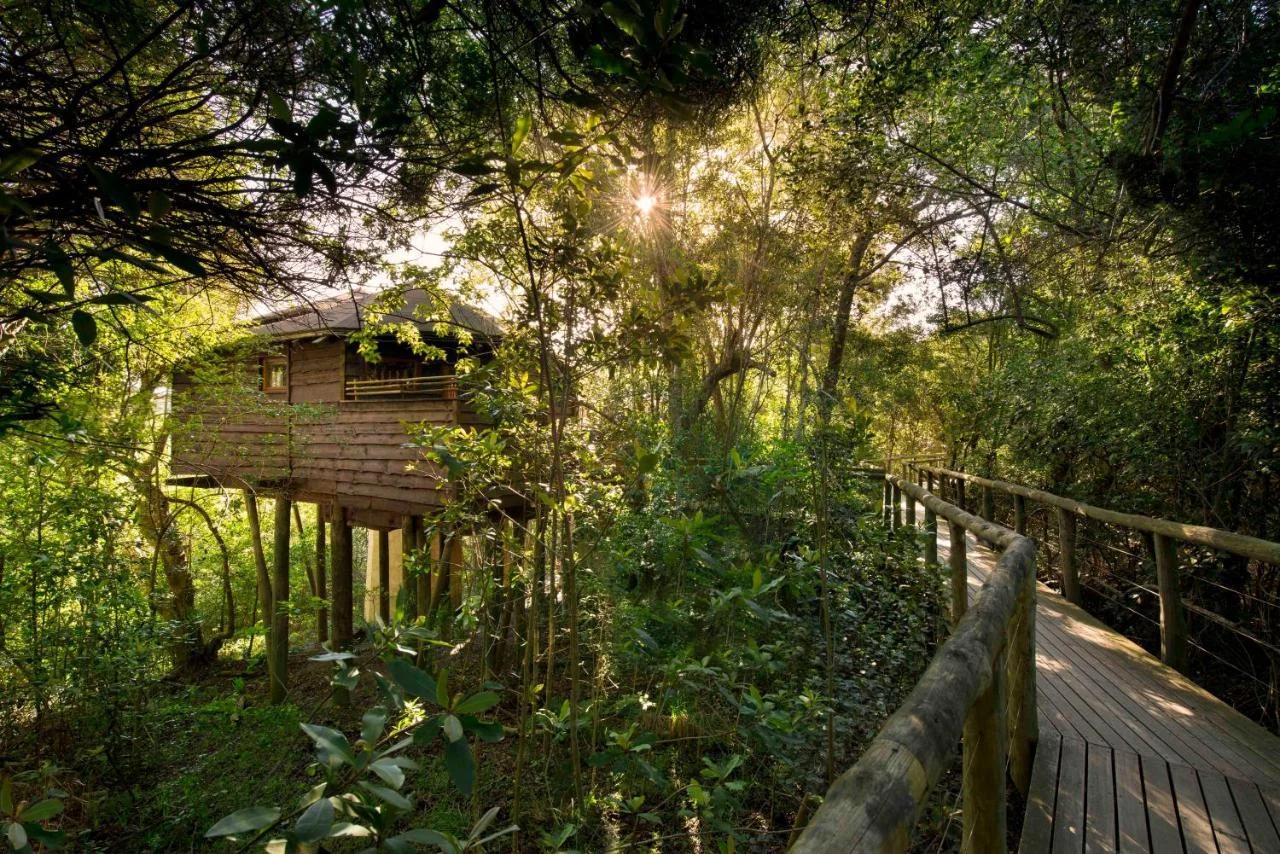 Tsala Treetop Lodge photo