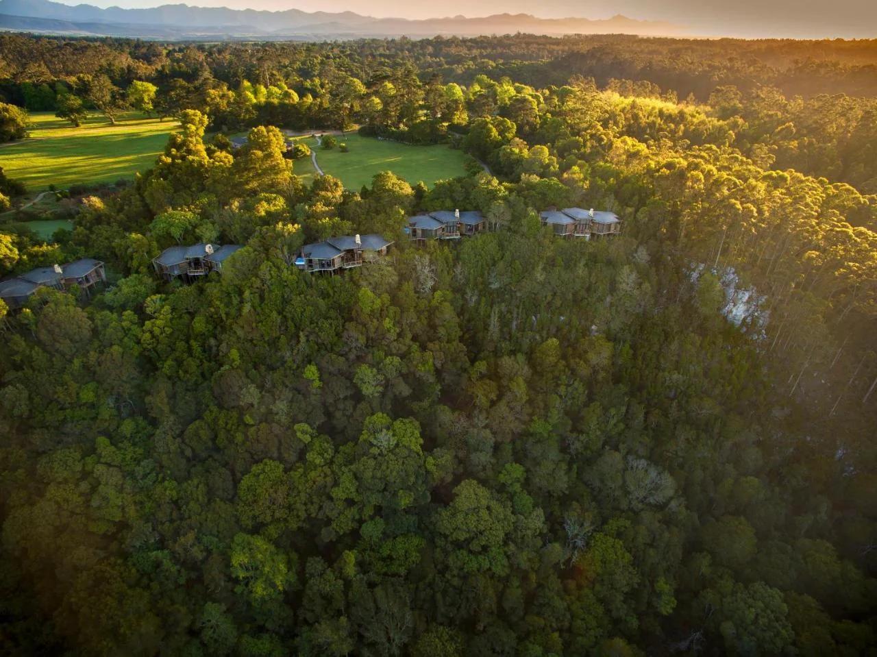 Tsala Treetop Lodge photo