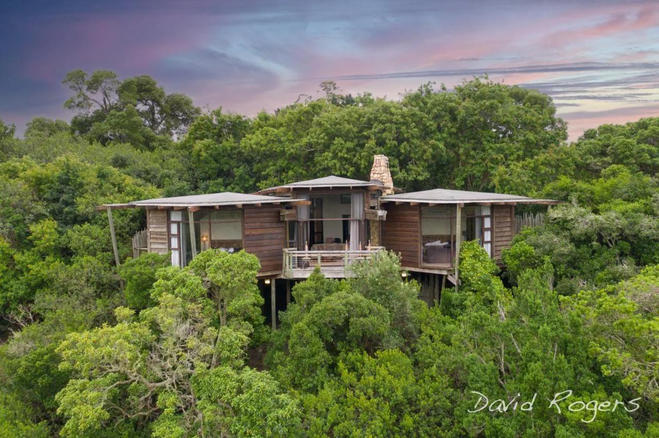 Tsala Treetop Lodge photo