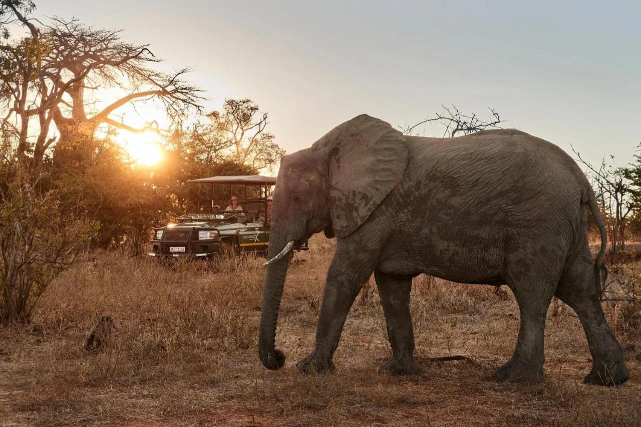 Victoria Falls River Lodge photo